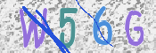 תמונת מבחן-תמונה